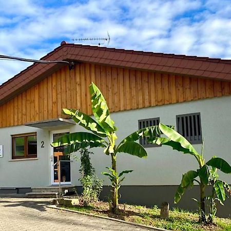Pension Am Hohberghof Dielheim Экстерьер фото