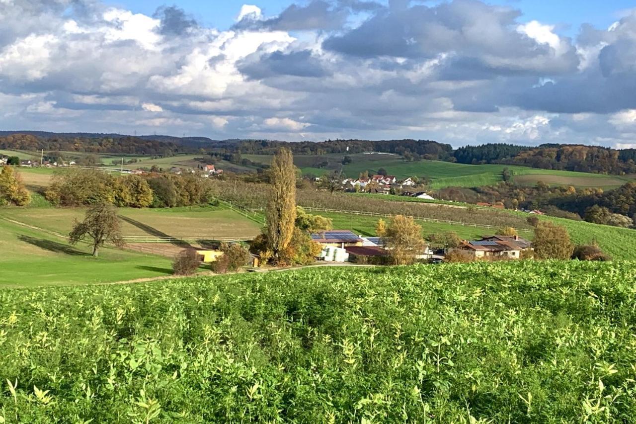 Pension Am Hohberghof Dielheim Экстерьер фото