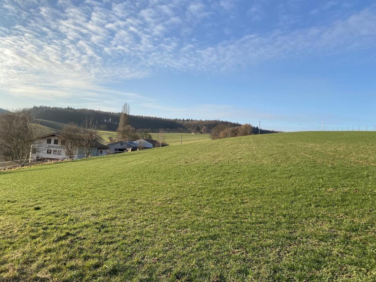 Pension Am Hohberghof Dielheim Экстерьер фото